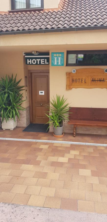 Hotel Alina カンガス・デル・ナルセア エクステリア 写真